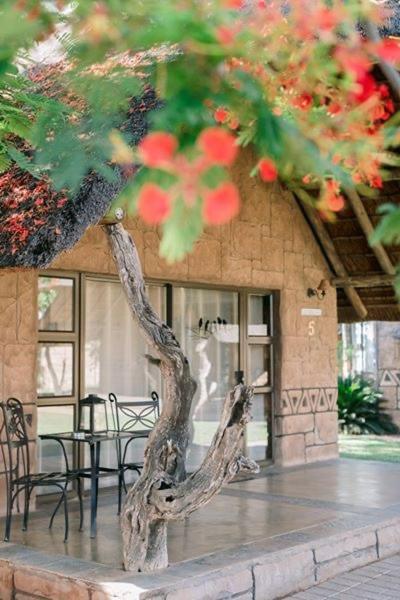 Tshukudiba Game Lodge Tom Burke Exteriér fotografie